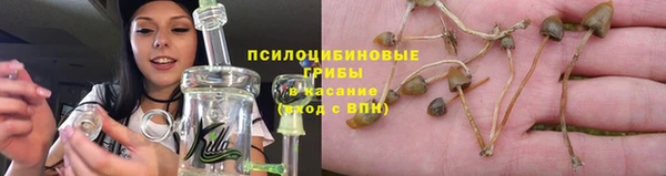 трава Лихославль