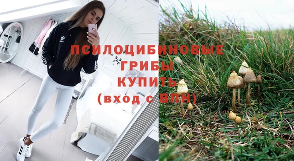 дурь Магадан