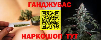 сатива Апшеронск