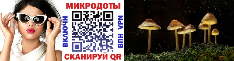 Галлюциногенные грибы мухоморы  Сунжа 