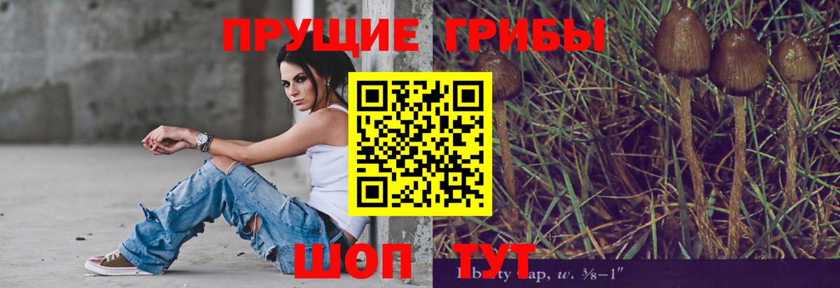 Псилоцибиновые грибы MAGIC MUSHROOMS Сунжа